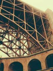 lt;Natural Disasters