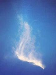 The Hardships of a D