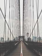 The Realm of the Dao