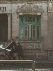 The Stand-in Wife Wa