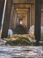 Lu Zongapos;s Hidden