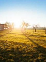 Mr. Gu, your wife is