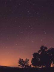 The Ugly Womanapos;s