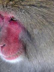 Do not deprive me of