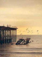 One Pregnancy, Two B