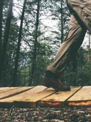 The Imperial Concubi