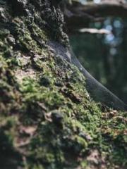 lt;The misfortune of