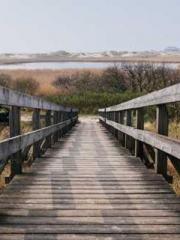 One Pregnancy, Two B