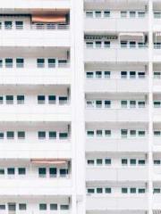 Li Qingqing and Zhao