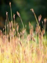 Spoil you in my arms