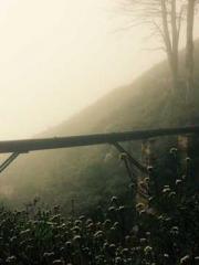 lt;The Dragon Discar