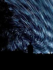 The Stand-in Wife Wa