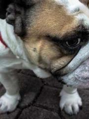 lt;lt;lt;lt;Yearning