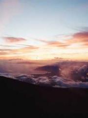 Mr. Shen, overdue an