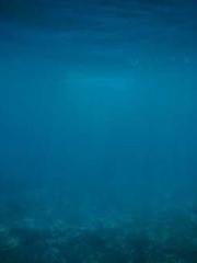 A Heavenly Gift: The