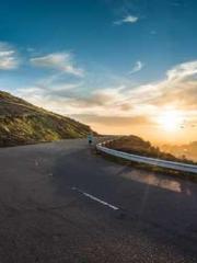 Two Treasures Arrive