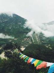 I Picked Up a Cultiv